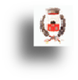 wpd1ca3384.png